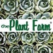 Profilbild von theplantfarm