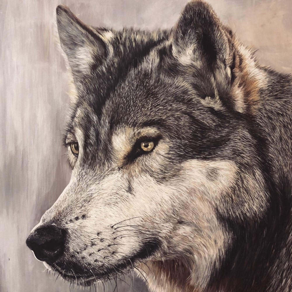 Фигурки волчья семья. Волк пастелью. Волчья семья. Ледяные волки. Картина лев и волк.