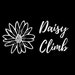 Daisy Climb Chalk bags