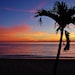 RoseWestPhoto