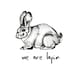 We are lapin