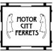 Owner of <a href='https://www.etsy.com/shop/MotorCityFerrets?ref=l2-about-shopname' class='wt-text-link'>MotorCityFerrets</a>