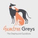 Gumtree Greys