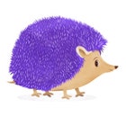 thepurplehedgehog
