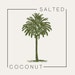 salted coconut