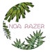 NOA RAZER