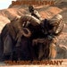 Ravingbantha Trading Company