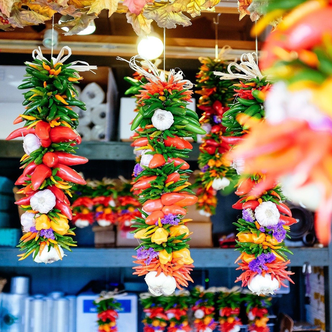 Flores secas naturales DIY, accesorios de resina epoxi, Plantas secas para  hacer funda de teléfono móvil