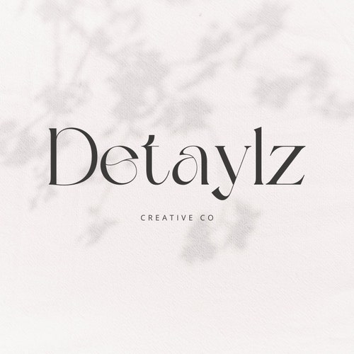 Detaylzcreativeco store logo