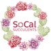 SoCal Succulents