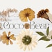 TheCocoBear