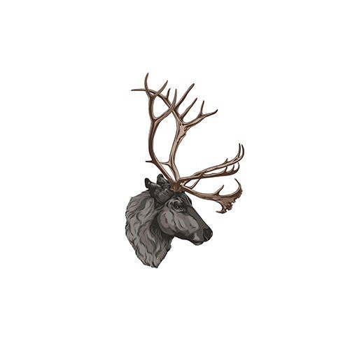 Forestsstudio store logo