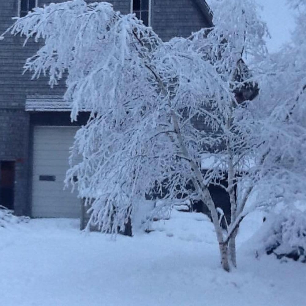 Gold & teal bible, KJV Bible, Ephesians 3 damask bible, contemporary