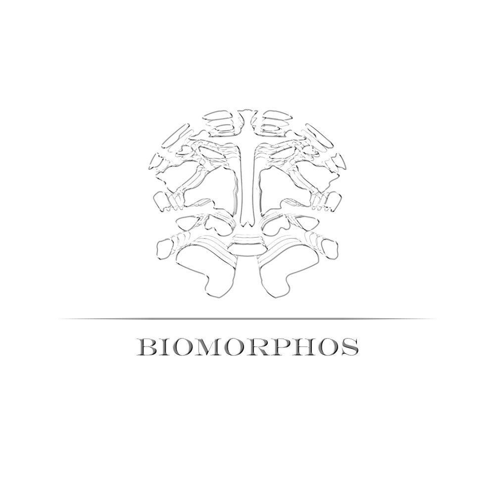Biomorphos jewelry etsy best sale shop