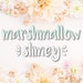 MarshmallowSlimey