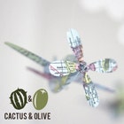 CactusAndOlive