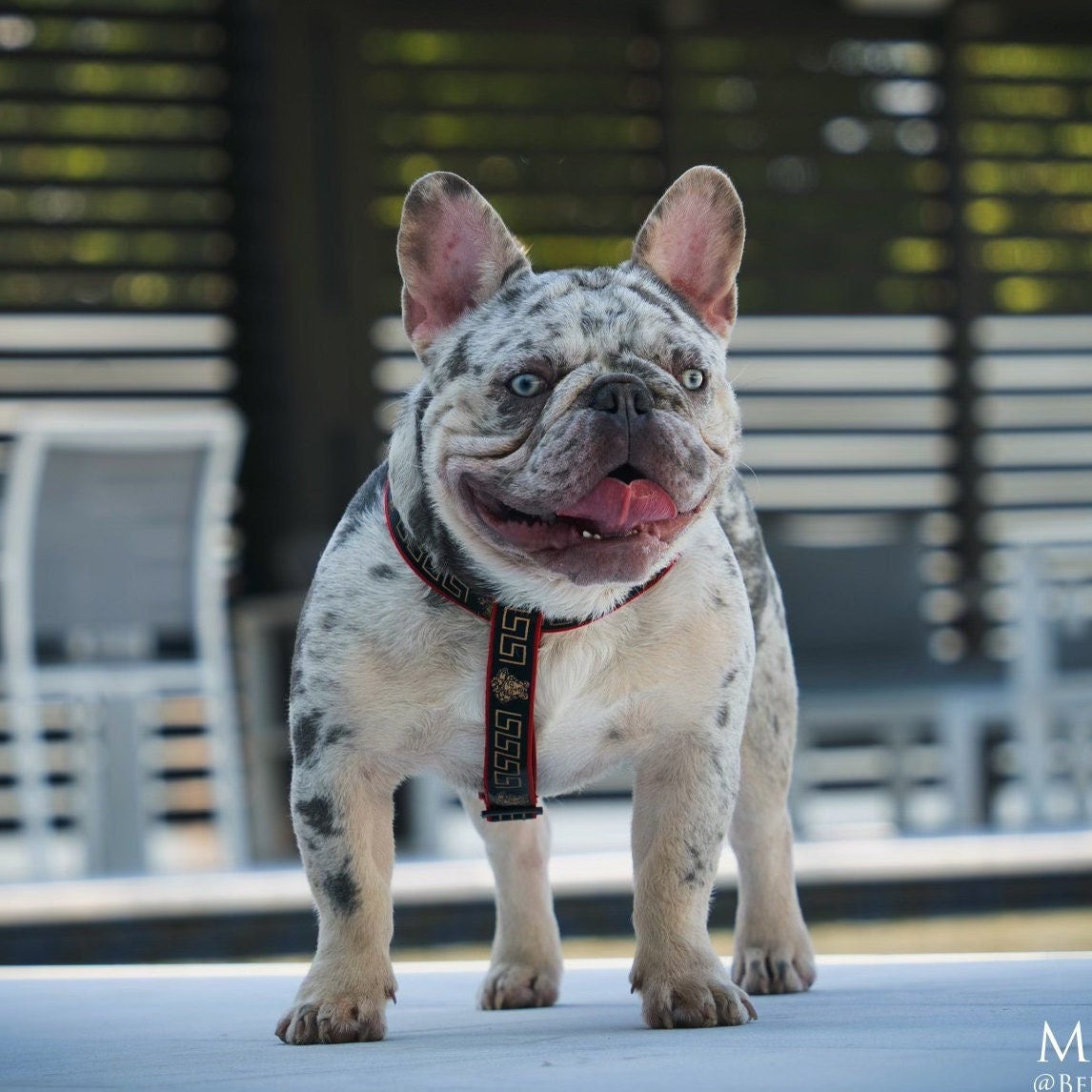 Leather French Bulldog Keychain - Pink | My Best Frenchie