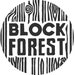 Avatar belonging to BlockForest