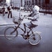 Grannybike