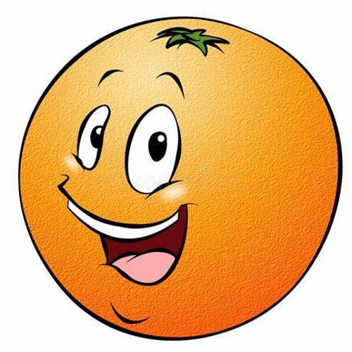 TheBigOrangeShop store logo