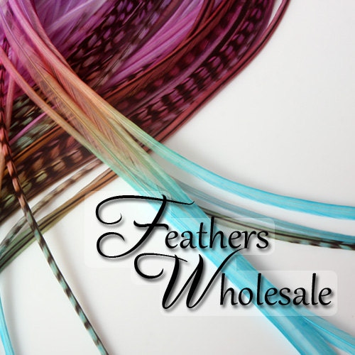 Hair Feathers Rainbow Hair Accessories Long Feather Hair Extensions Rainbow  Colored Real Rooster Feather Extensions DIY Kit 