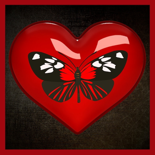 LinaStarGift store logo