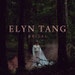 Classic Mantilla Fingertip Length Veil \u2022 Elyn Tang Bridal