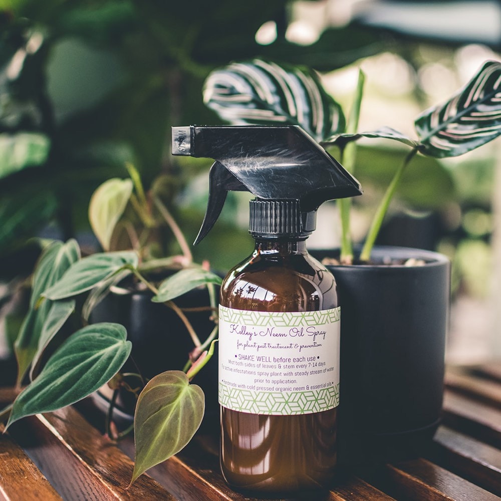 Kelleys Neem Oil Spray 8oz For Houseplant Pests Mealy Bugs Etsy