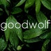 The GoodWolf Team