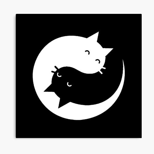 KitnKatStore store logo