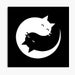 KitnKatStore store logo
