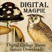 DigitalMagpie