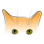 CuriousOrangeCat