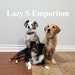 LazySEmporium