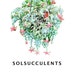 Propriétaire de <a href='https://www.etsy.com/ca-fr/shop/solsucculents1?ref=l2-about-shopname' class='wt-text-link'>solsucculents1</a>