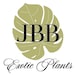 JBB Exotic Plants