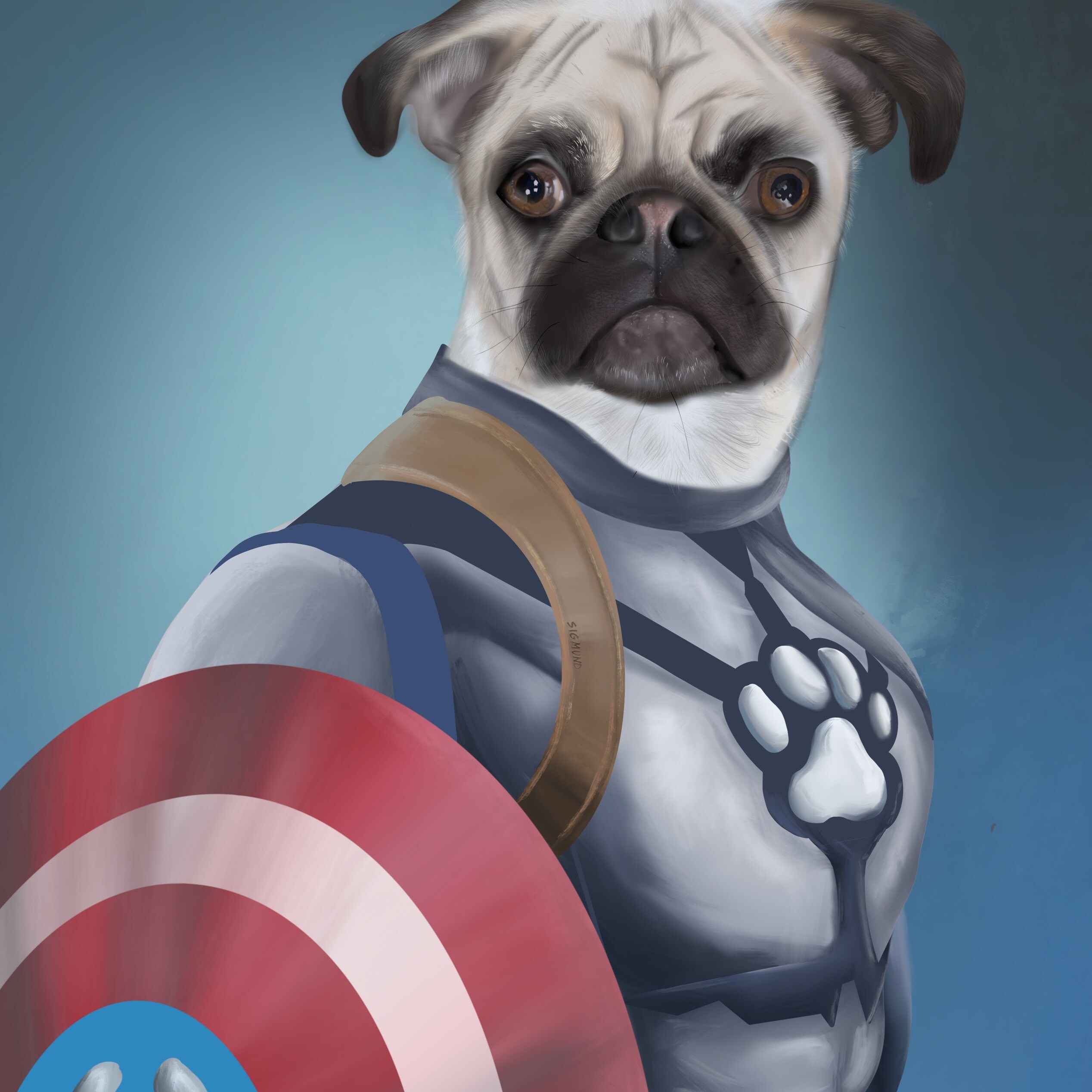 PM8 Cat Portraits Presents Superhero Portrait Custom Captain American Portrait Custom Pet Portraits