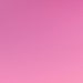 StarlightTemplatesCo store logo