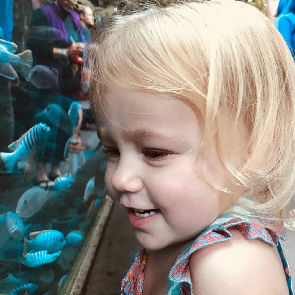 Brandi Beavers's Instagram, Twitter & Facebook on IDCrawl