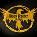 Black Feather Design