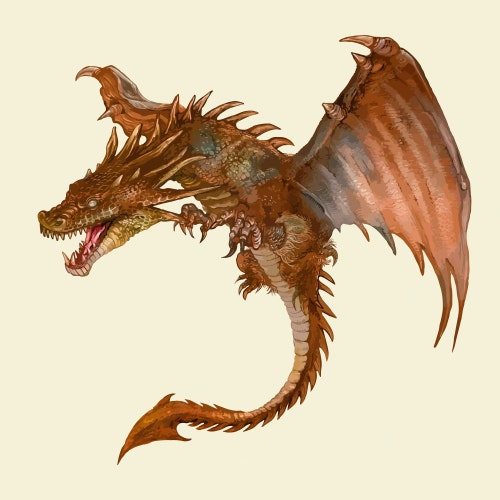 Dragonvie store logo