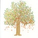 baywindowbooks