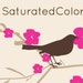 Owner of <a href='https://www.etsy.com/shop/SaturatedColor?ref=l2-about-shopname' class='wt-text-link'>SaturatedColor</a>
