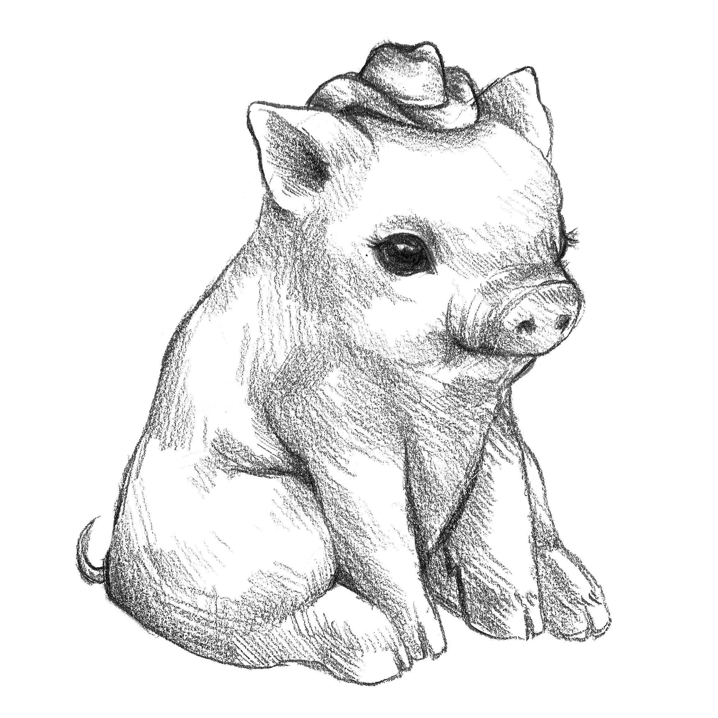 Fat Little Pig Sketch Drawing Illustration  X 11 Animal - Etsy