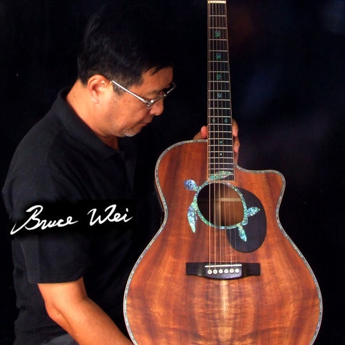 Bruceweiguitar store logo