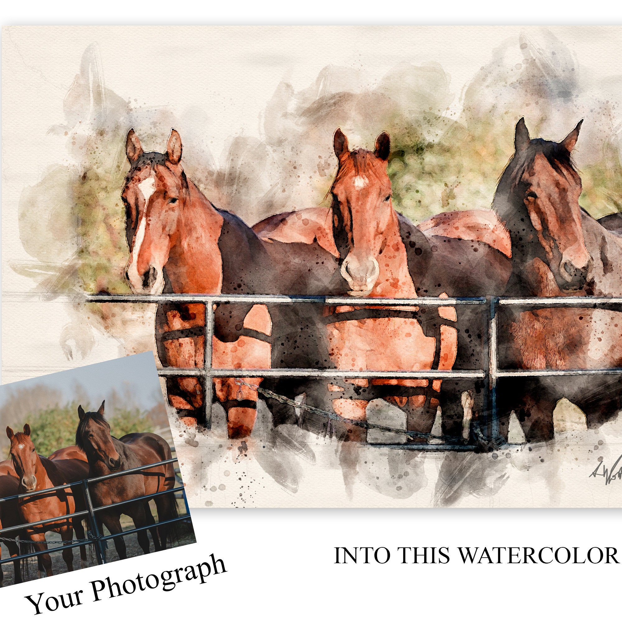 Horse Borders And Frames