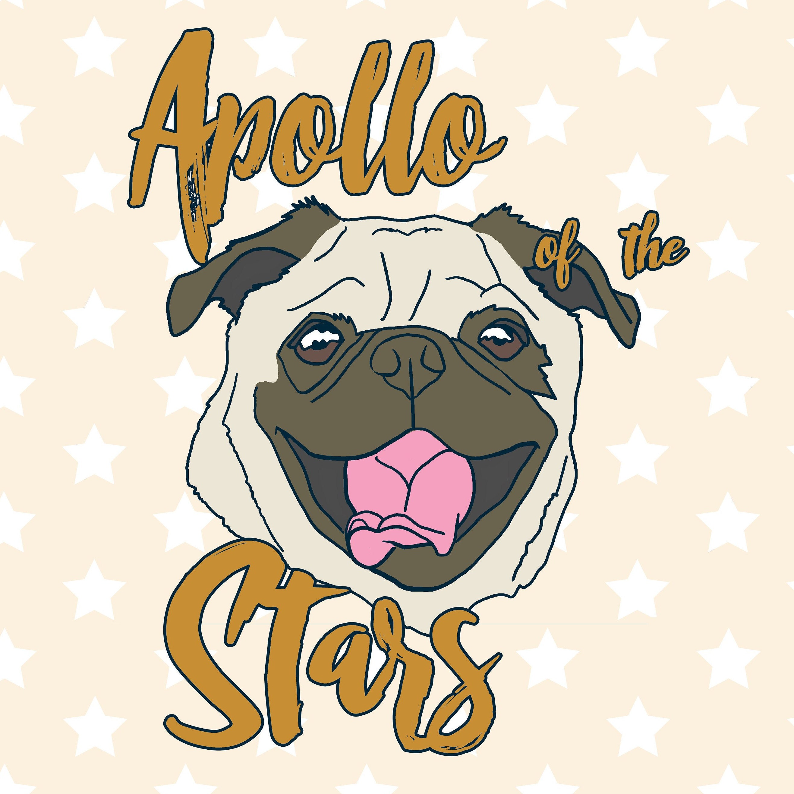 Pet Boutique by ApolloOfTheStars on Etsy