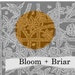 Bloom and Briar Vintage