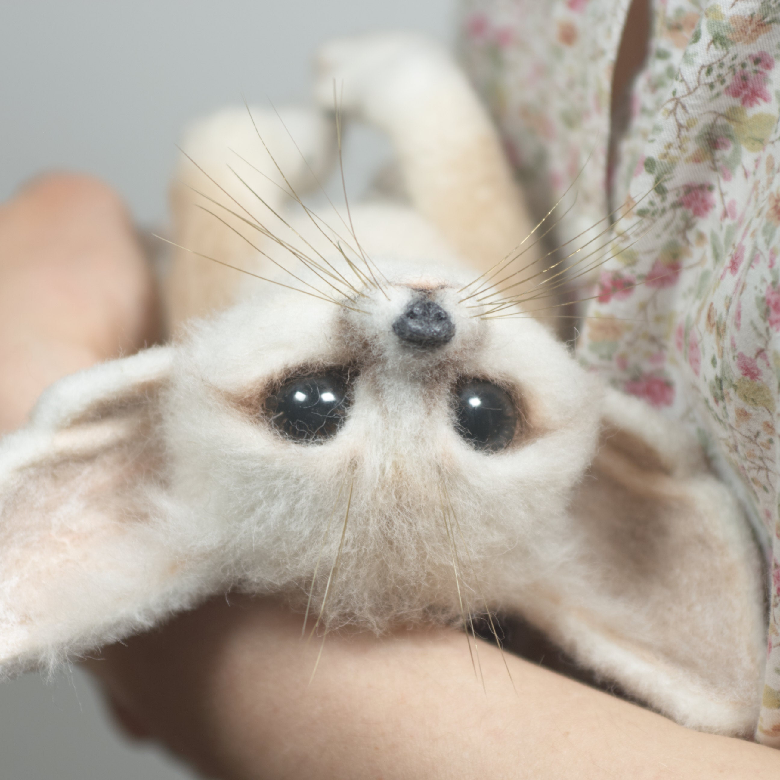Fennec Fox Desert Animals The Desert Foxes Fennec Fox Pet Gift Etsy