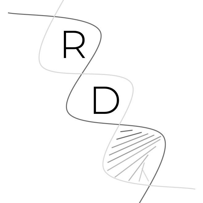 RainstickDreams Etsy